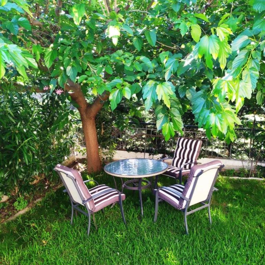 Villa HOUSE WITH GARDEN Netflix Nea Kerasia Exterior foto
